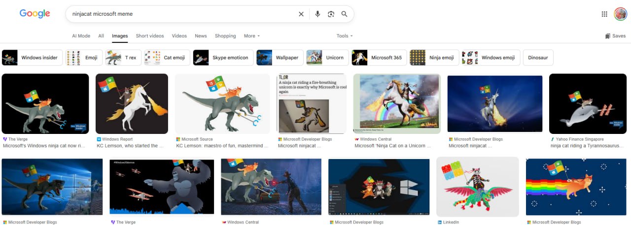 NinjaCat Microsoft Meme Search Results Proof